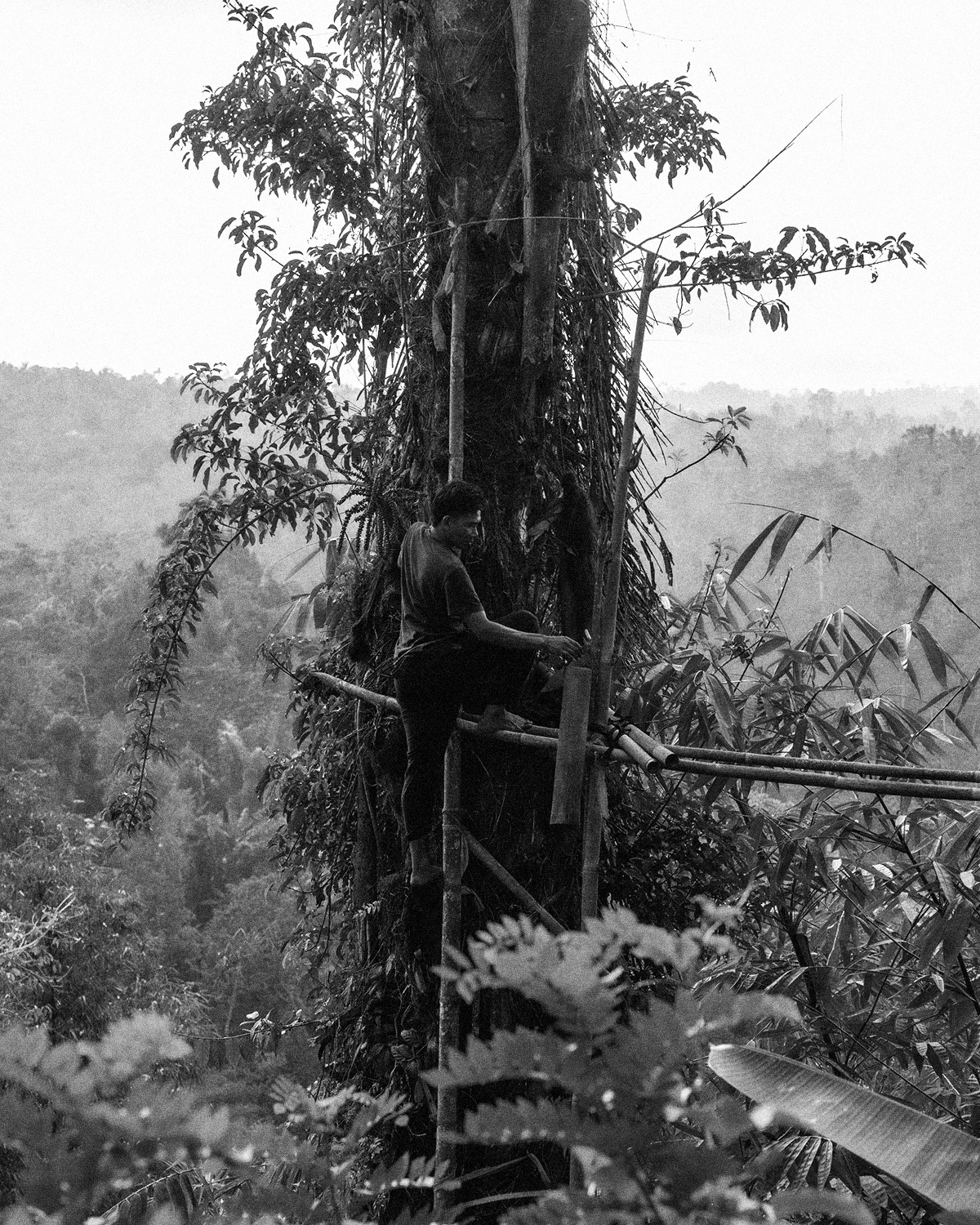 ThePunchCommunity_Featured_SycoBase1