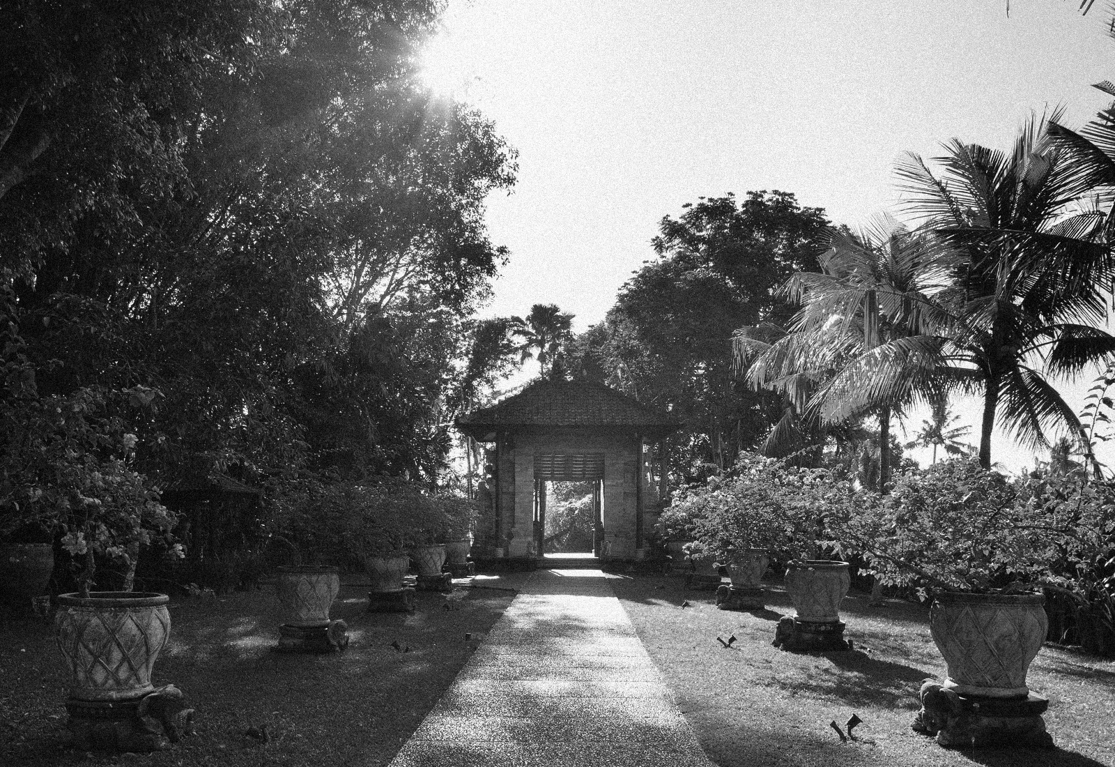 ThePunchCommunity_Featured_TanahGajah3