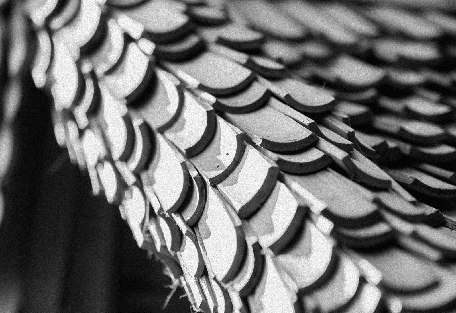 ThePunchCommunity_Featured_TheAsaMaia1