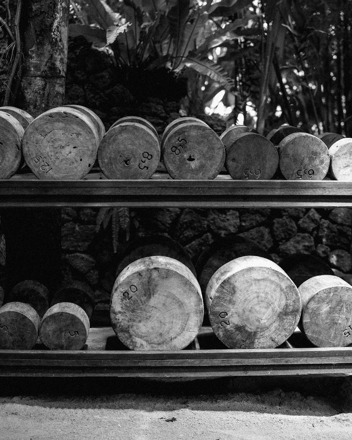 ThePunchCommunity_Featured_TheSeed2