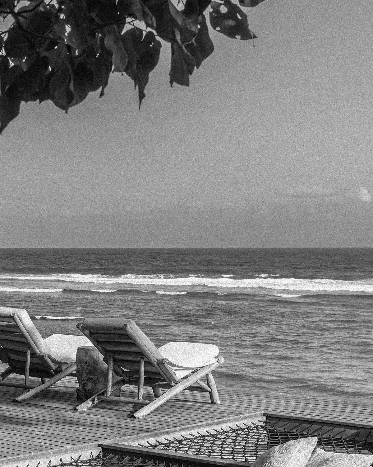 ThePunchCommunity_Featured_TheSeed3