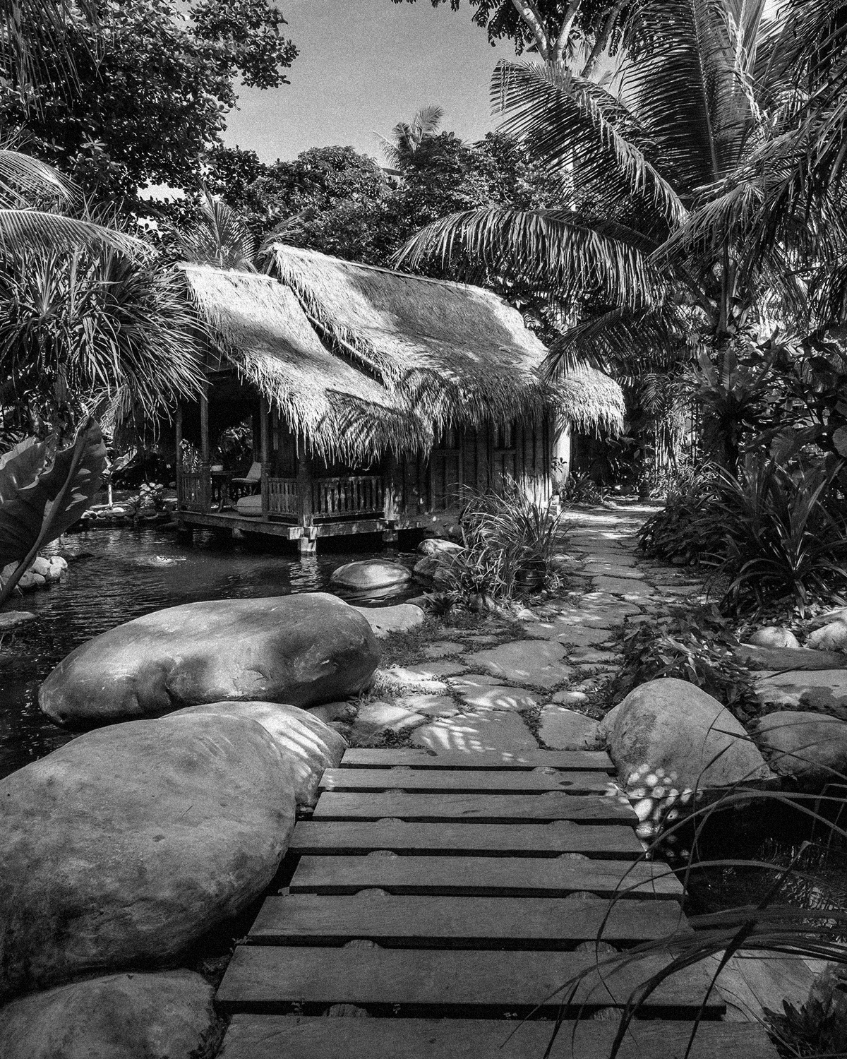 ThePunchCommunity_Featured_TheSeed4