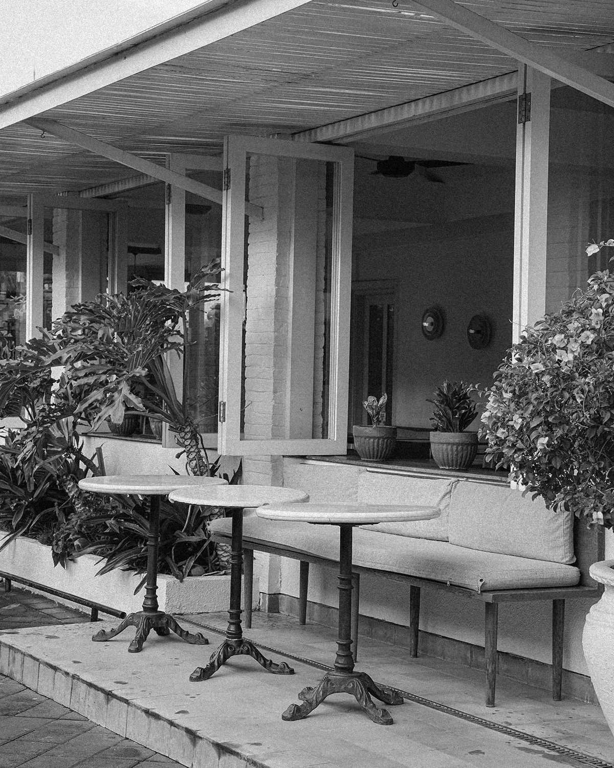 ThePunchCommunity_Featured_Watercress1