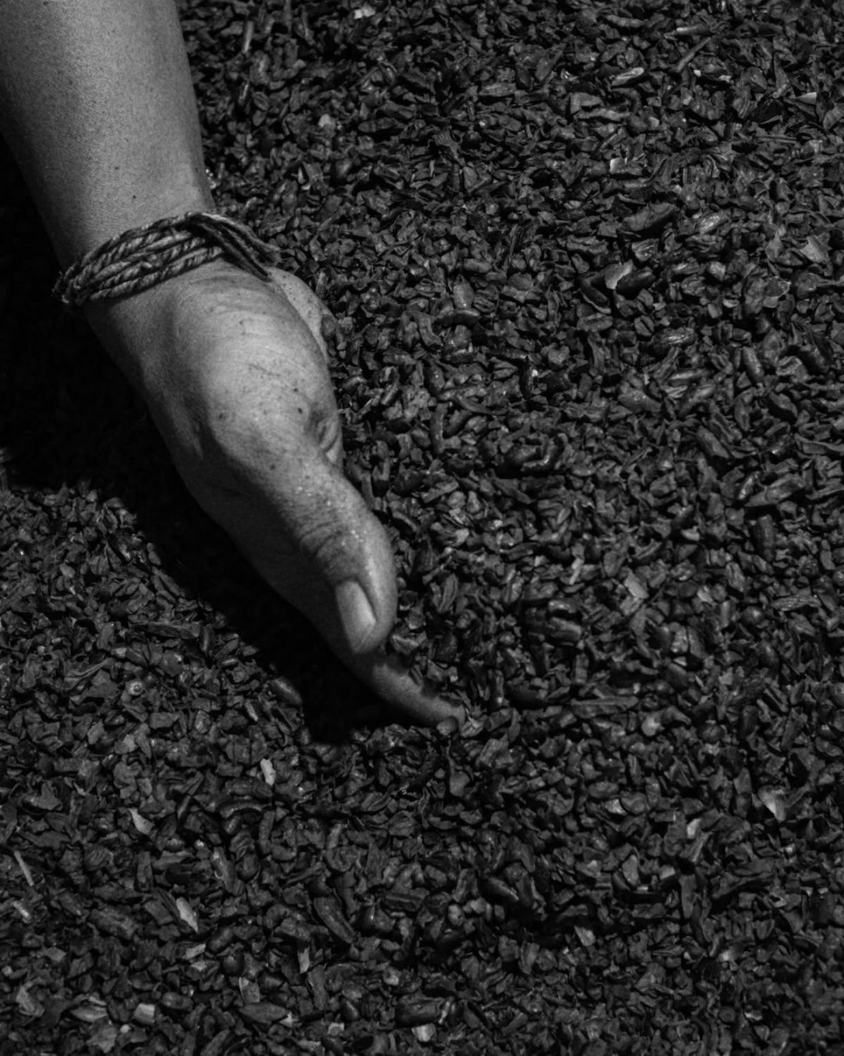 ThePunchCommunity_SacredCacao2