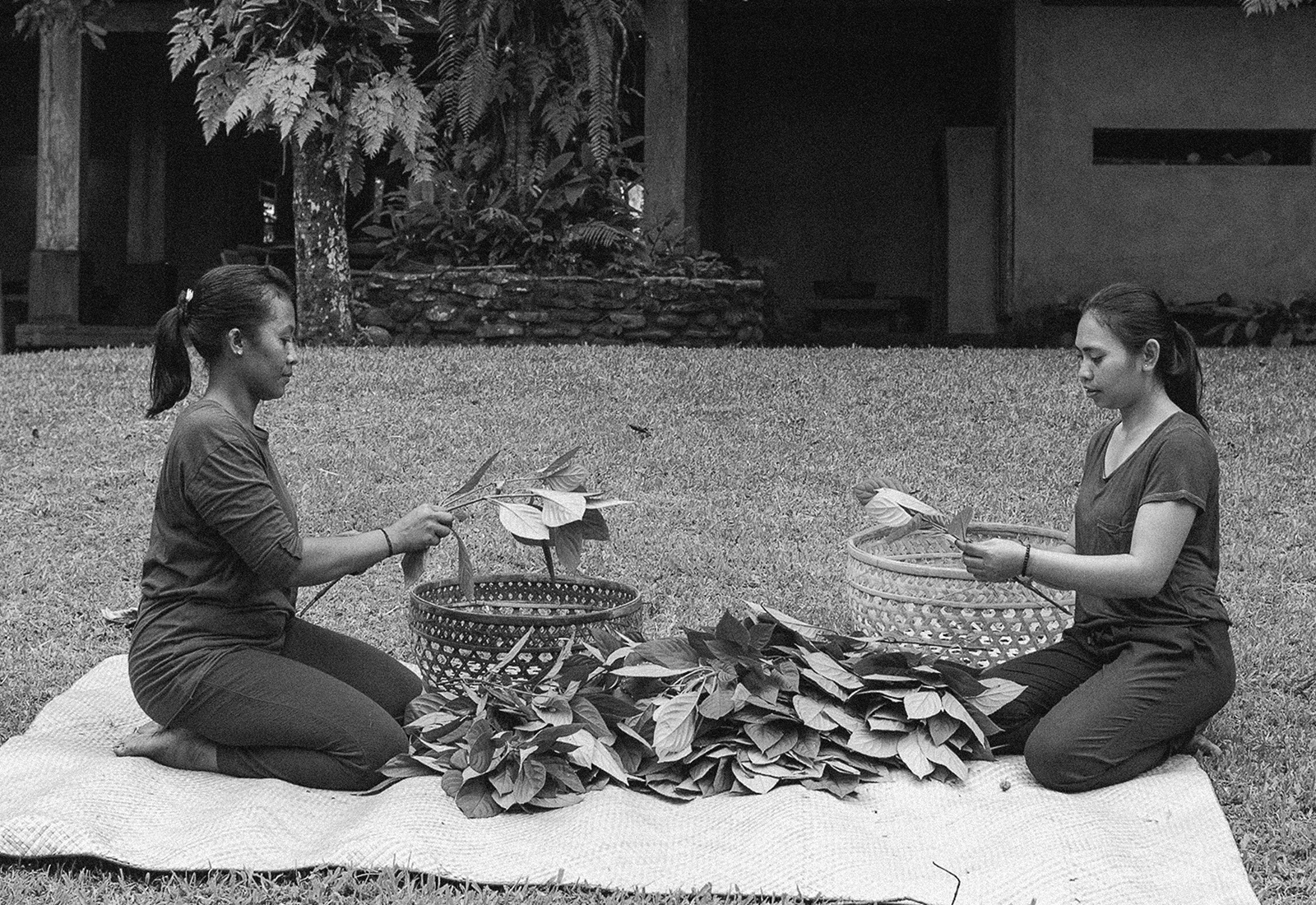 thepunchcommunity_featured_Tiantaru1