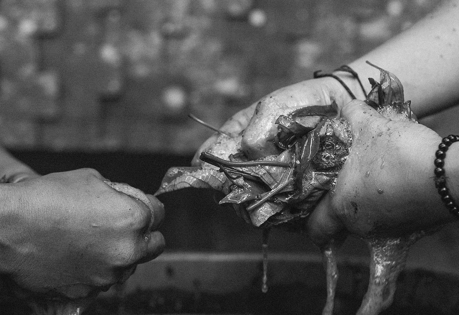 thepunchcommunity_featured_Tiantaru2