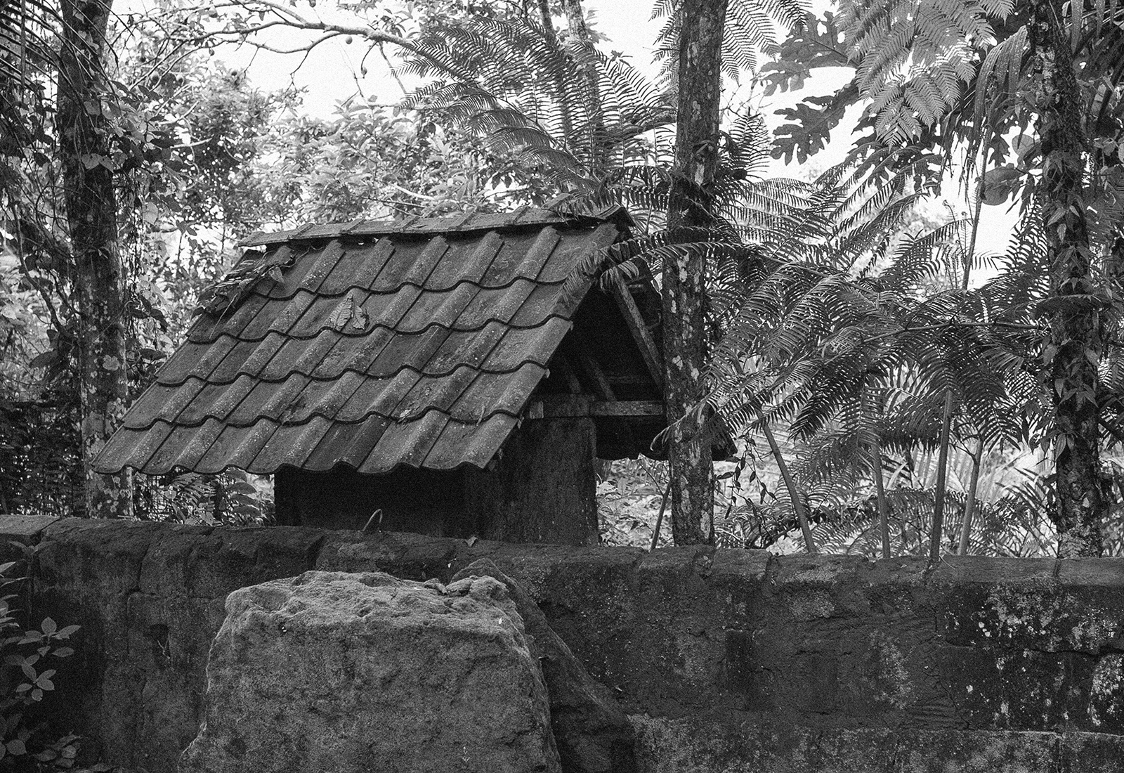 thepunchcommunity_featured_Tiantaru3