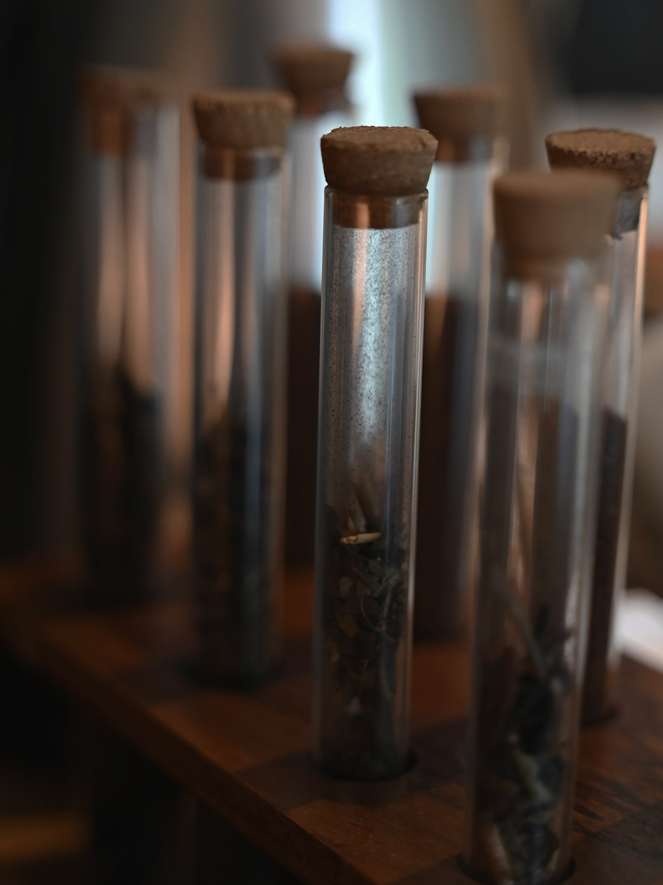 ThePunchCommunity_Featured_TitikDua19