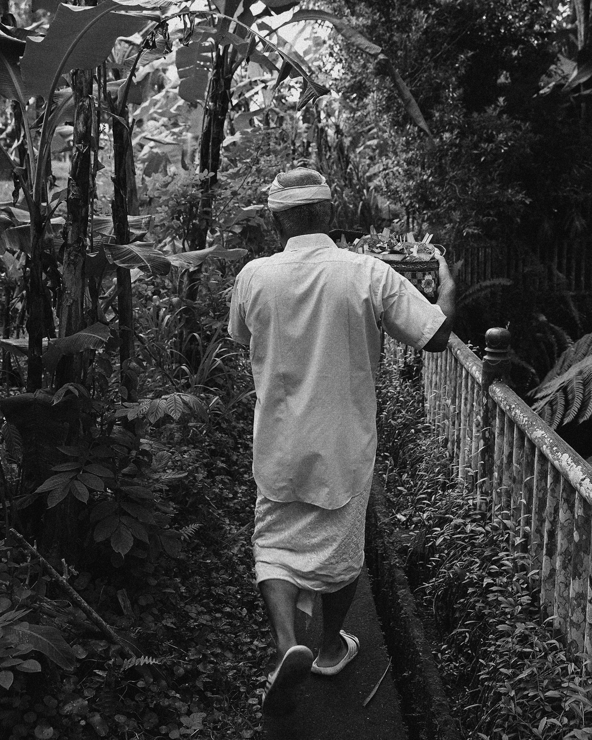 ThePunchCommunity_Featured_CapellaUbud12
