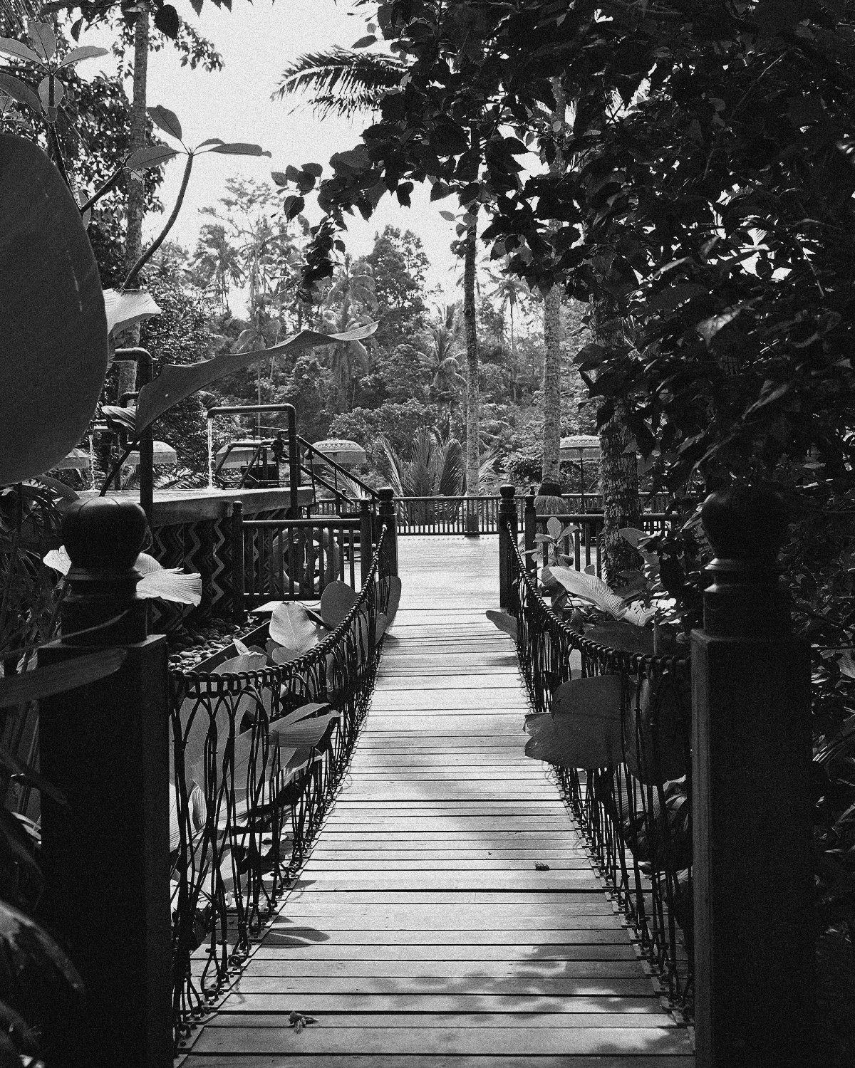 ThePunchCommunity_Featured_CapellaUbud20