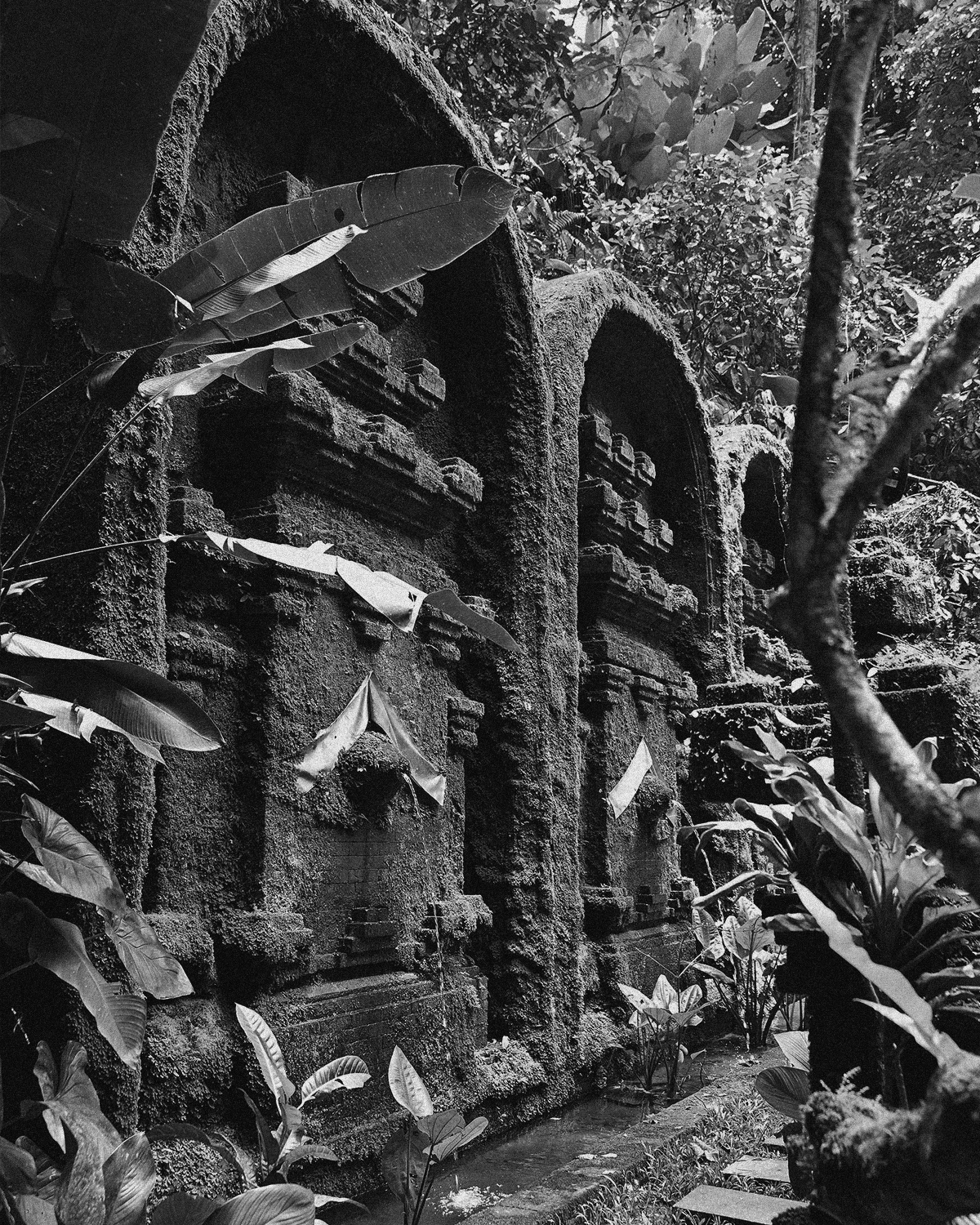 ThePunchCommunity_Featured_CapellaUbud26