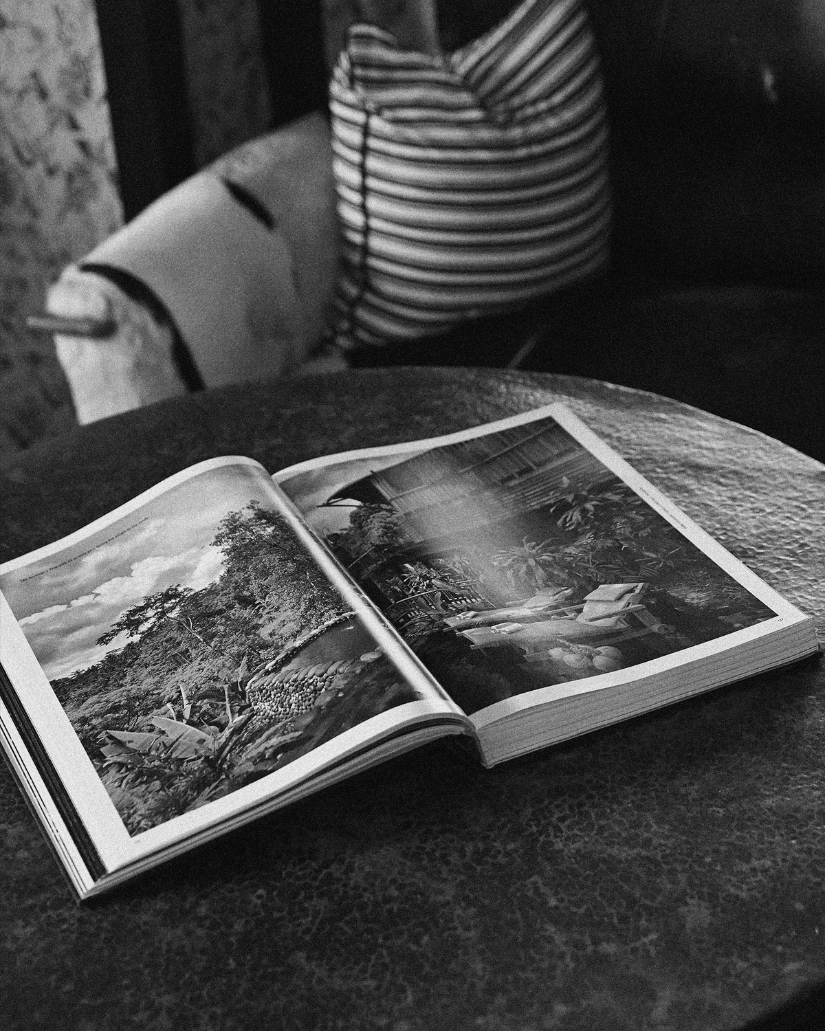 ThePunchCommunity_Featured_CapellaUbud9